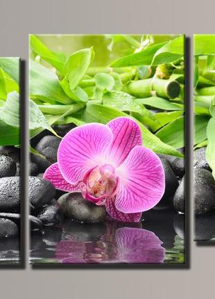 "орхідея і бамбук" модульна картина на полотні для інтер'єру