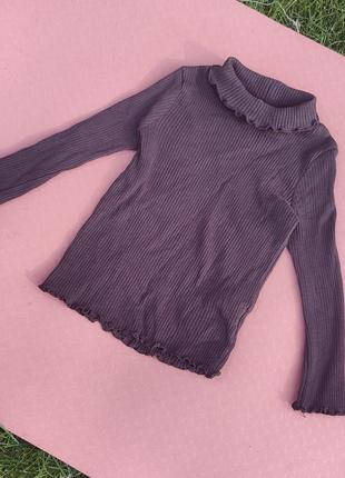 Гольф/водолазка