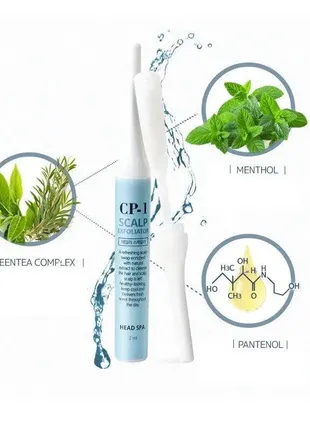 Esthetic house cp-1 head spa scalp exfoliator пілінг для шкіри голови