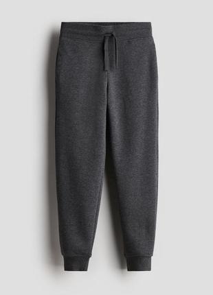 Спортивные штаны утепленные темно-серые h&m