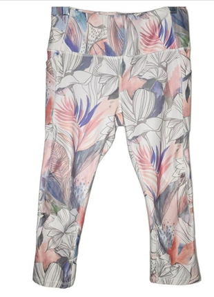 Спорт бріджи