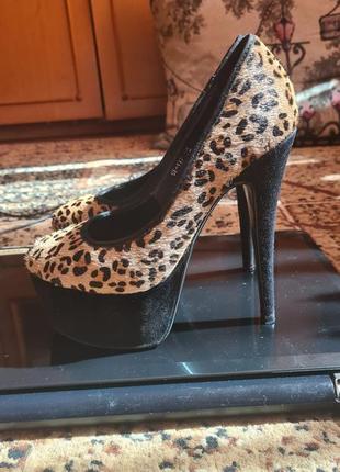 Туфли на платформе итальялия леопардовый принт3 фото