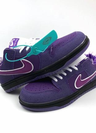 Nike sb dunk low purple lobster4 фото