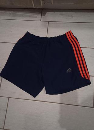 Шорти adidas1 фото