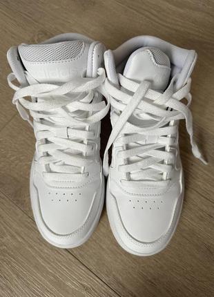 Нові кросівки білі жіночі оригінал adidas hoops 36.5 (4uk) 22.5 см7 фото