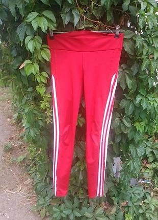 Лосины на девочку 11-12р