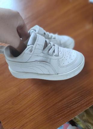 Кеди puma