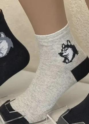 Шкарпетки (унісекс) розмір 36- 40