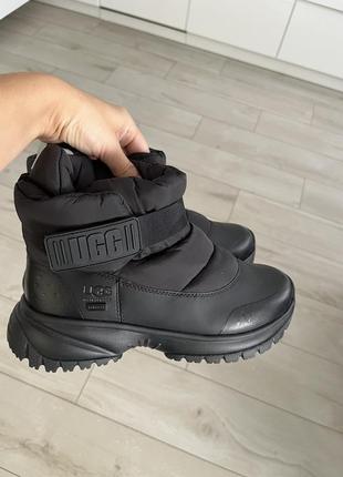 Ugg 7,7.5,37,38