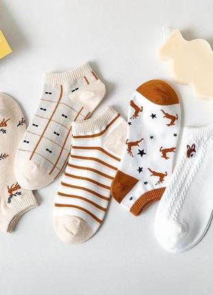 5 пар жіночих шкарпеток