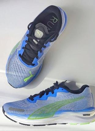 Кросівки Puma Cena od 1 do 99 Brązowe