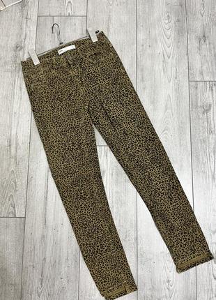 Леопардові джинси zara