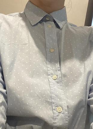 Блузка gant оригінал
