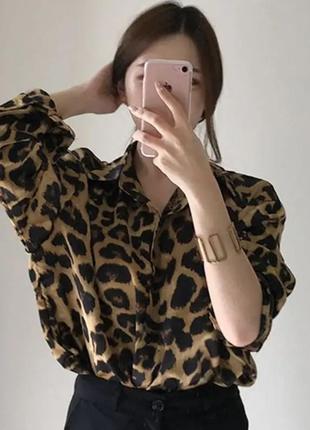 Рубашка лео