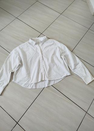 Mango рубашка белая укороченная1 фото