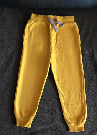 Спортивні штани тонкі джогери спортивки 110р