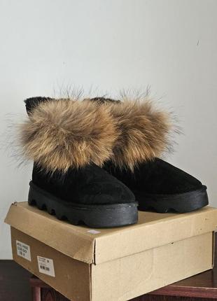 Уггі ugg med australia, натуральний замш