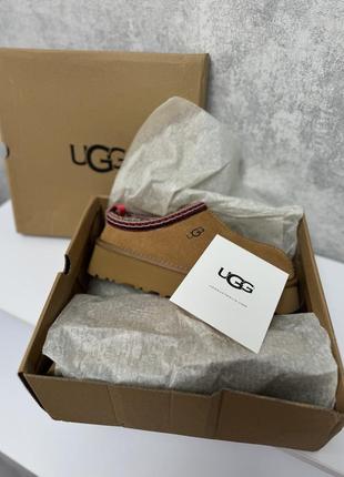 Ugg tazz на платформі