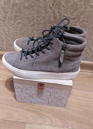 Кеды ugg2 фото