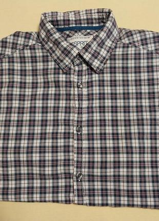 Высококачественная стильная брендовая немецкая рубашка esprit