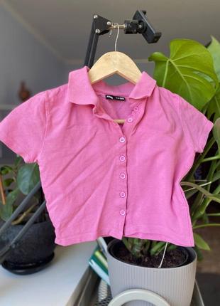 Кроп-топ, поло