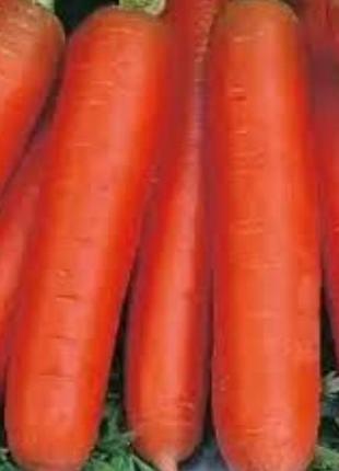 2 шт насіння моркви "лакомка" 5 грамів код/артикул 72