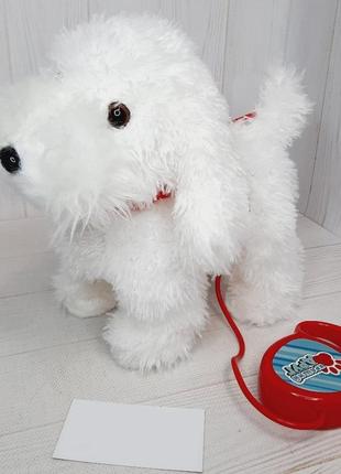 Игрушка собачка ходит и лает на поводке