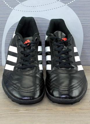 Кроссовки adidas2 фото