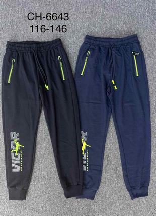 Штани спортивні для хлопців