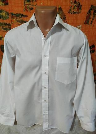 Сорочка чоловіча класична біла від premier