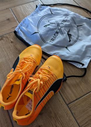 Puma evospeed tokyo nitro 400 шиповки — цена 9500 грн в каталоге