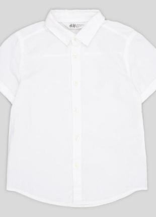 Рубашка с коротким рукавом, шведка белач1 фото