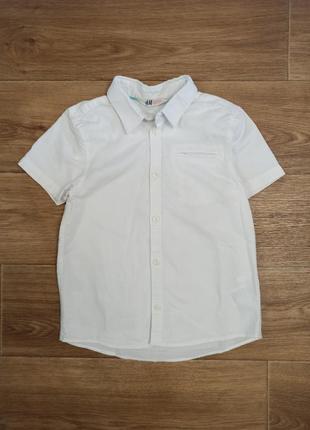 Рубашка с коротким рукавом, шведка белач2 фото