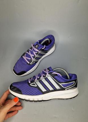 Кросівки adidas