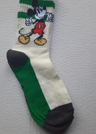 Шкарпетки носки disney eur 31-36