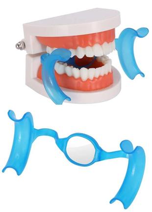 Роторасширитель для губ с зеркалом