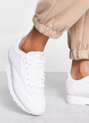 Белые кожаные кроссовки reebok classic оригинал натуральная кожа унисекс