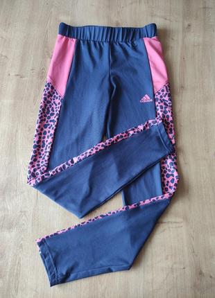 Крутые подростковые спортивные бриджи лосины  adidas,оригинал,  13-14 лет, 164 см.