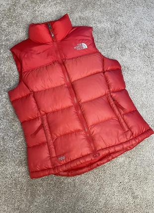 Жилетка The North Face