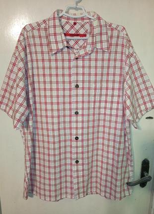 Italy,чоловіча,літня сорочка з коротким рукавом,у клітинку,великого розміру,signum,італія