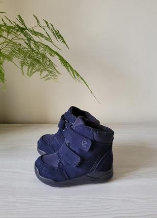 Сапожки кожаные зимние оригинал ecco urban mini 754781 р.20