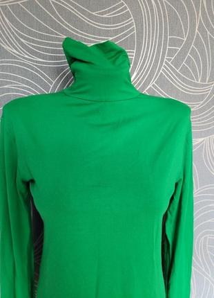 Нова модна водолазка