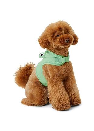 Шлейка, шлея, нашийник без натягу для собак маленьких порід s, жаба pets at home