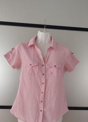 Рожева бавовняна сорочка. котонова сорочка в смужку короткий рукав xs-s