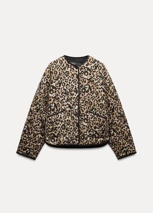 Жіноча стьобана леопардова куртка zara