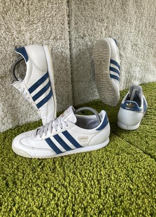 adidas dragon