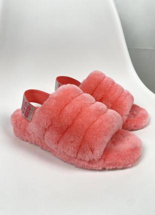 Тапки ugg australia