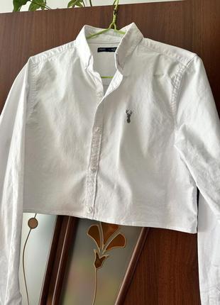 Рубашка next xs-s белая укороченная2 фото