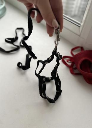 Поводок для кота , маленькой собачки