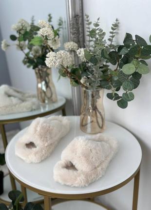 Пухнасті домашні тапулі😍😍😍